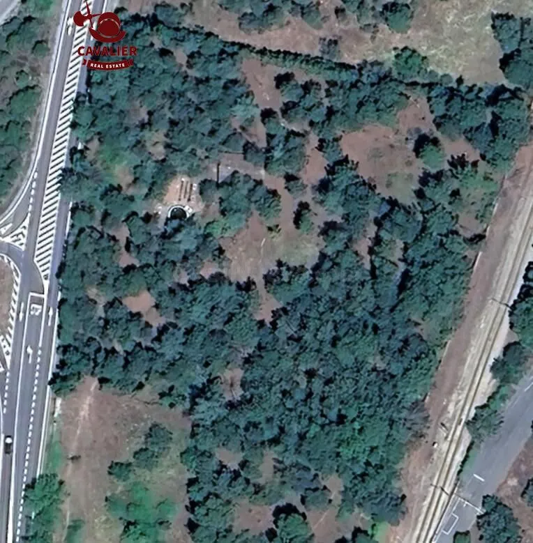 Terreno de 10.117m2 con vivienda de 75m2 rodeado de un precioso bosque