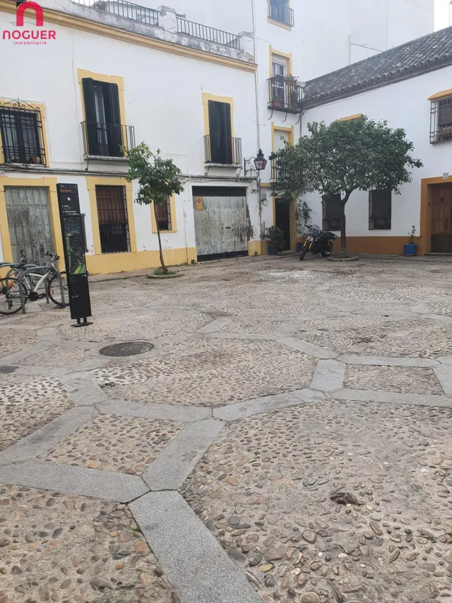 Ideal piso en San Basilio , piso en primera planta reformado y todo exterior — 16