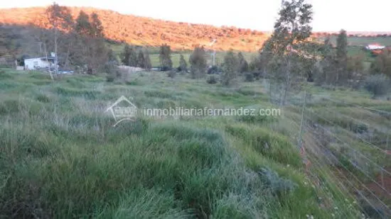 OPORTUNIDAD!! Parcela de 2500m2 totalmente vallada en ARROPE