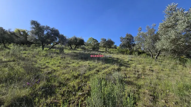 CHALET EN VENTA EN EL PUERTO CALATRAVEÑO — 19