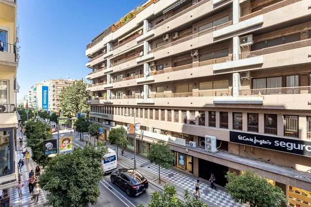 GRAN PISO EN CALLE RECOGIDAS — 28