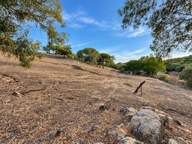 Finca rústica de 18.444 m2 con pozo y construcción catastrada en Alcalá de los Gazule — 23