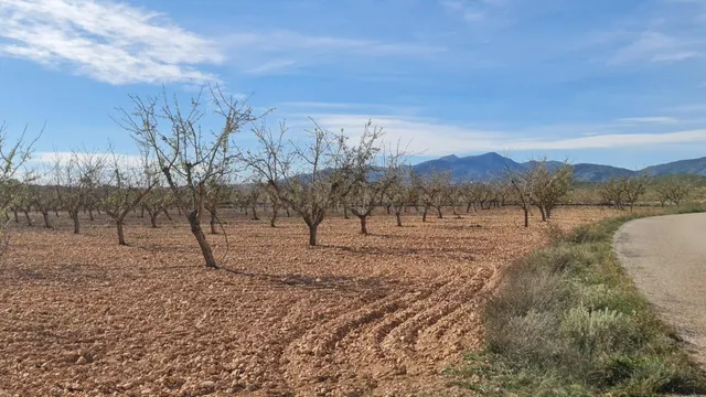 Parcela en venta - Comunidad valenciana - foto 4