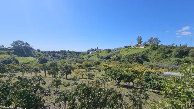 PARCELA RÚSTICA CON CASA DE APEROS  Y ÁRBOLES FRUTALES EN LA ALQUERÍA — 7