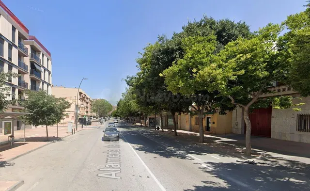 Local Comercial en Alquiler - Oportunidad Única en Alameda d - foto 2