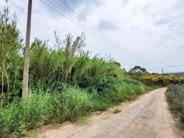 Terreno rústico de 10.735 m2 en Castellbisbal zona Can Nicolau de Dalt. — 7