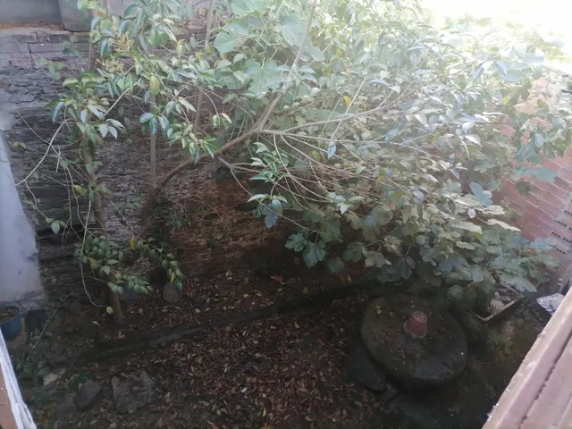 SE VENDE CASA DE PIEDRA PARA REFORMAR  EN CUBILLOS DEL SIL — 10