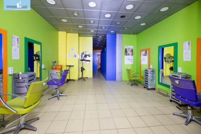 🏢 LOCAL COMERCIAL EN VENTA - ZONA PLAZA DE TOROS, GRANADA — 21
