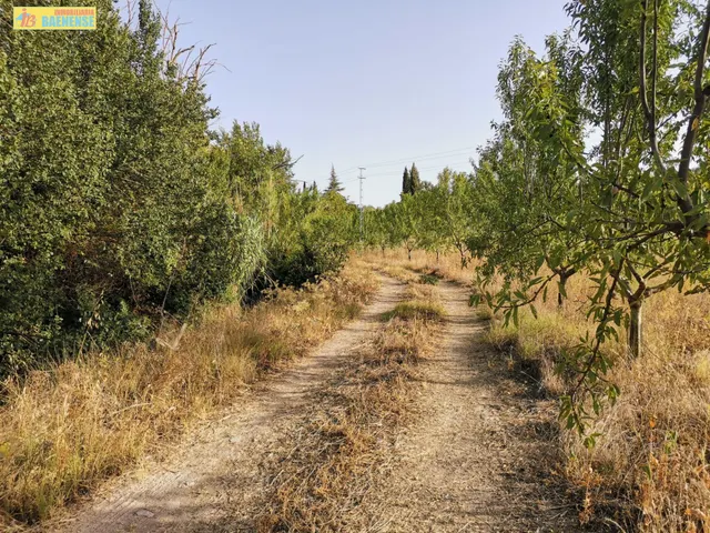 Huerta en venta — 6