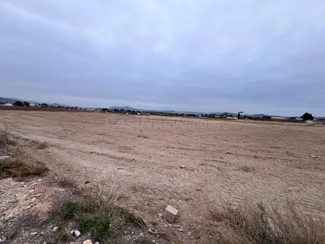PARCELA CON CASITA A MIL METROS DEL PUEBLO - foto 5
