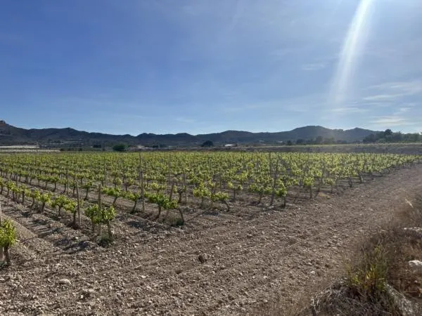 Parcela de terreno — 3