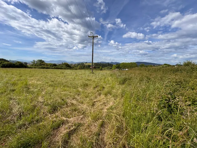 Terreno rural en venta - Sta. María de Getxo - foto 3