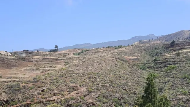 SE VENDE FINCA RÚSTICA EN SANTA CRUZ DE TENERIFE ( VILAFLOR) - foto 2