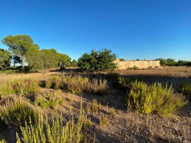 Fantástica finca a 1,5 km del mar en l'Ampolla — 13