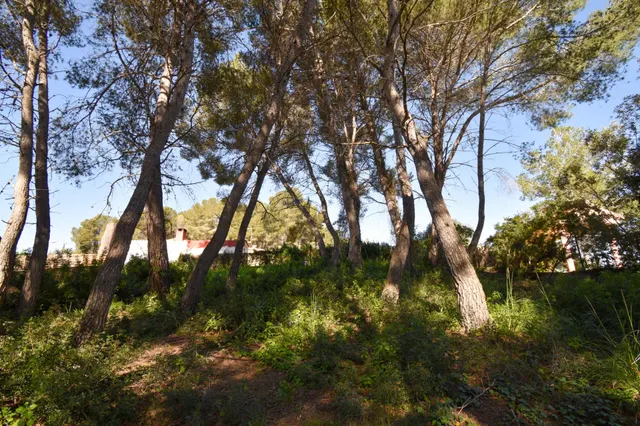 TERRENO EN LA URBANIZACIÓN LAS COLINES, OLIVELLA — 10