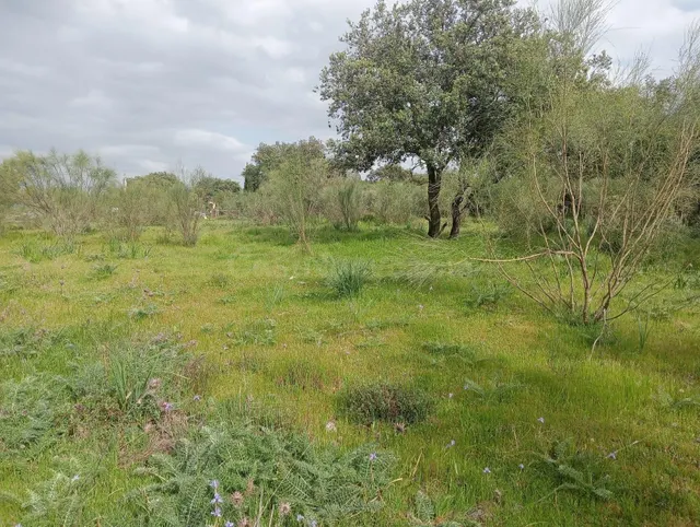 ¡Magnífica parcela urbana en la Urb. Sierra Norte – Castilbl