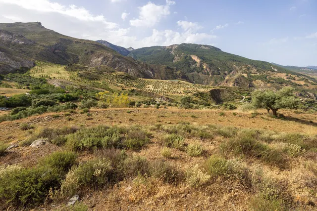 En Venta Maravilloso Paraje Natural, a medio camino entre Granada y Sierra Nevada, a veinte minutos en coche, desde cada una de ellas. — 21