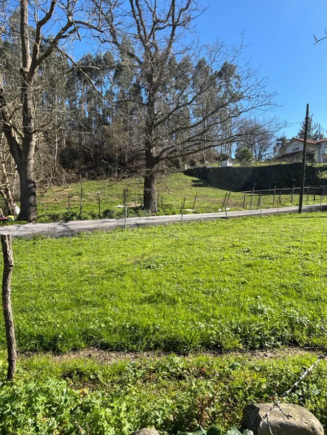 Terreno rustico con posibilidad de construir - foto 2