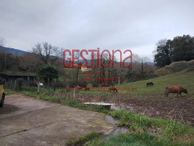 CASA DE PIEDRA CON AMPLIA PARCELA. ESCOBEDO DE VILLAFUFRE. — 45