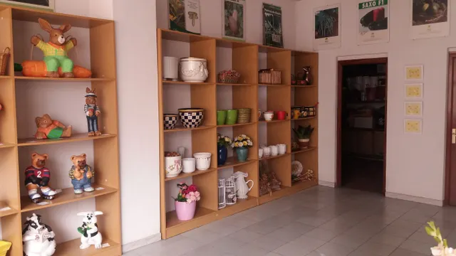 ALQUILER LOCAL COMERCIAL EN MOZONCILLO — 11
