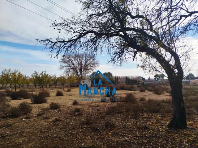INMOBILIARIA LA MANCHA VENDE TERRENO RÚSTICO JUNTO A LA CIUD - foto 5