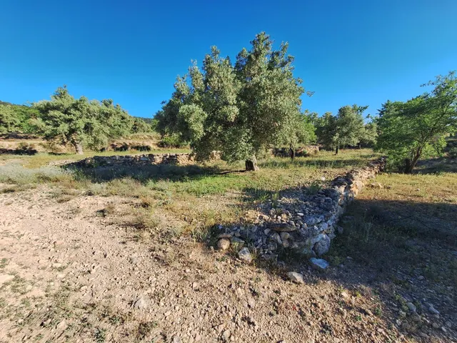 Terreno rústico a solo 3 km de Biar | Posibilidad de construir vivienda y conectar a agua y electricidad — 9