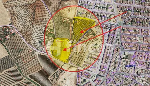 2,4 HECTÁREAS ESTRATÉGICAS EN UMBRETE (ALJARAFE – SEVILLA) - foto 4
