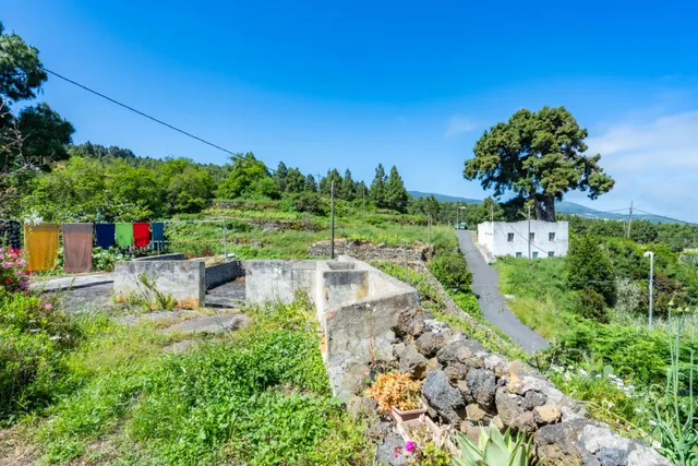 Finca con vivienda y viñedos en Icod de los Vinos — 12