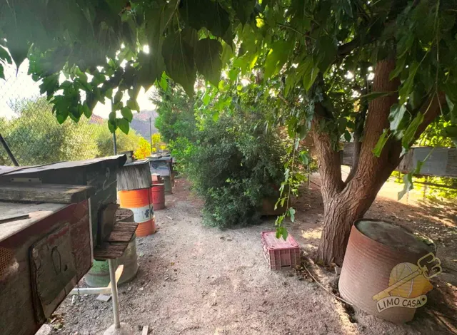 Maison dans les potagers de Ricote — 19