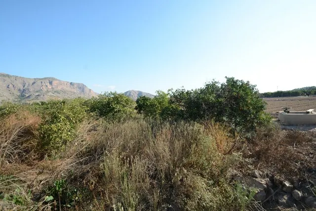 ¡¡ GRAN OPORTUNIDAD !! Parcela rústica de 5600 m2. de superficie en el Raiguero de Bonanza — 6