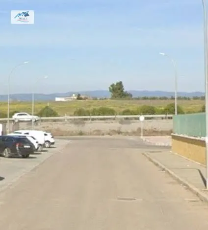 Venta Nave Industrial en Pedro Abad (Córdoba) - foto 2