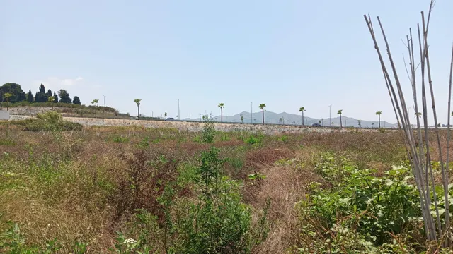En una zona Espectacular!! — 8