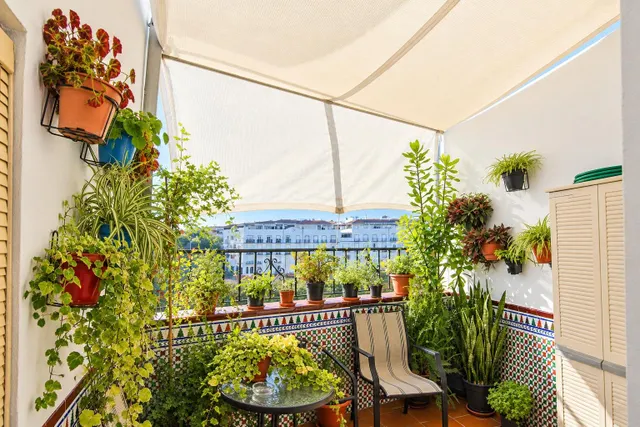 En venta casa pareada de 4 habitaciones, con patio y terraza, barriada las flores — 22