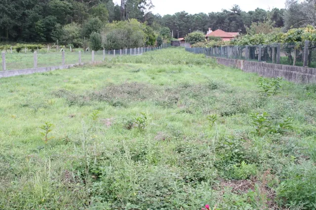 ¡¡¡¡TERRENO EDIFICABLE A 20 MIN DE VIGO, 5 MIN DE TUI Y 8 MIN DE TOMIÑO !!!!! — 7