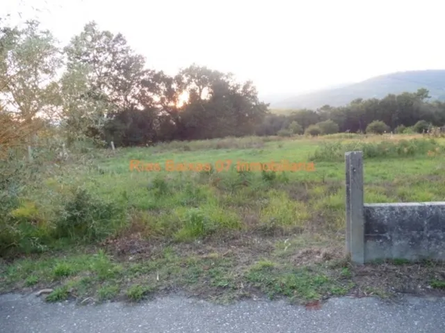 REF3102 SOLAR IDEAL DE 1100 M2 CENTRO TOMIÑO — 3