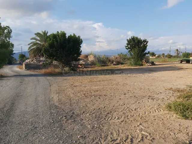 FANTASTICO TERRENO EN CREVILLENTE, ALICANTE, COSTA BLANCA SU - foto 3