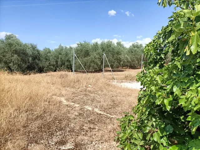 Venta de 'Cortijo del Enamorado' en Lucena - Córdoba — 6