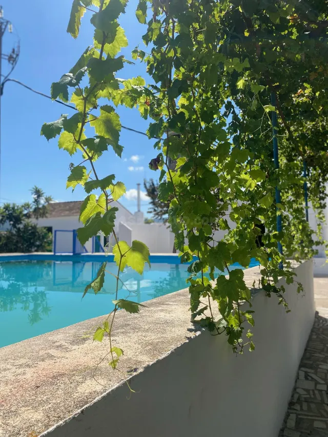 Villa 8 habitaciones 517m² en venta - Beniarjó - foto 3
