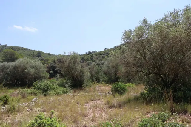 MASIA RUSTICA EN DOS HECTAREAS DE TERRENO ZONA POU DE BECA — 43