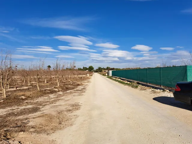 SE ALQUILA CASA EN EL CAMPO DE ELCHE (ALICANTE) — 12