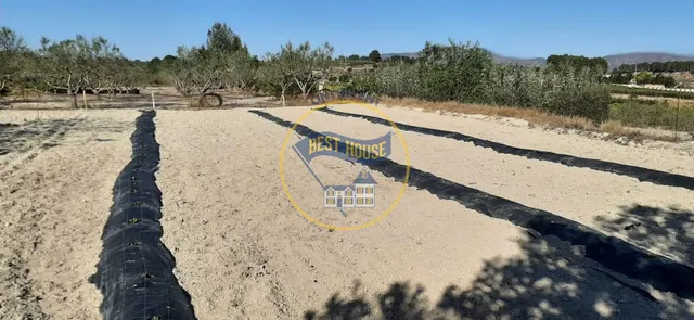 CASITA CON TERRENO EN ALBAIDA — 5