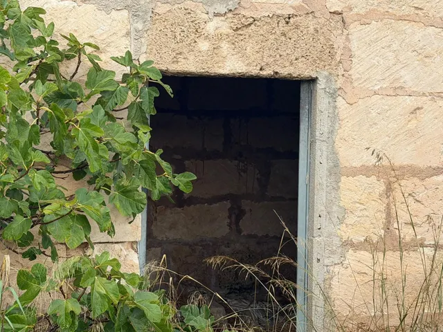 Terreno rural en venta - Pobla (Sa) — 2