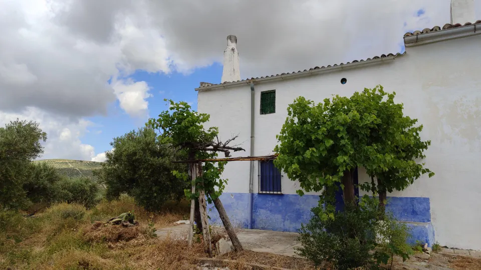 Venta de casa de campo y olivar