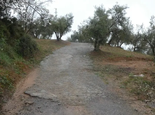 Finca rústica en Peligros – Ideal inversión o explotación agrícola — 7