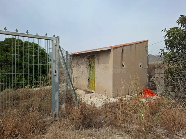 ¡¡ VENTA PARCELA EDIFICABLE 11371 m2 EN LA ROMANA !! - foto 2