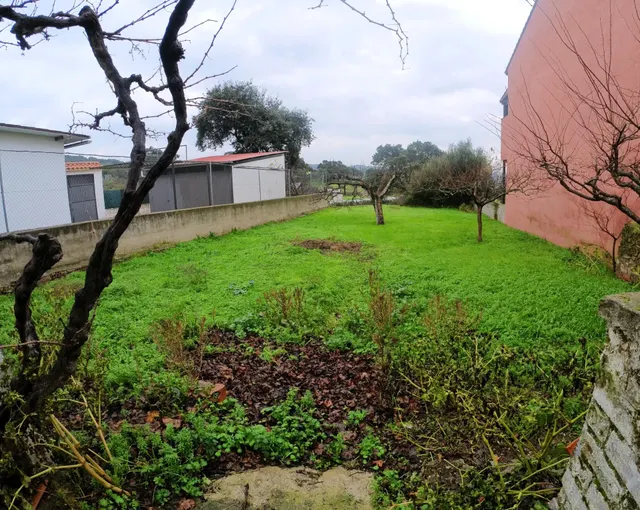 Casa con parcela en Valdeobispo — 14