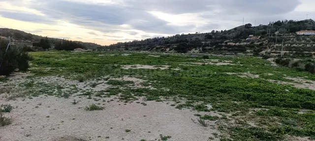 Amplio Terreno Rústico en Aspe - Pedanías Oeste a la Venta