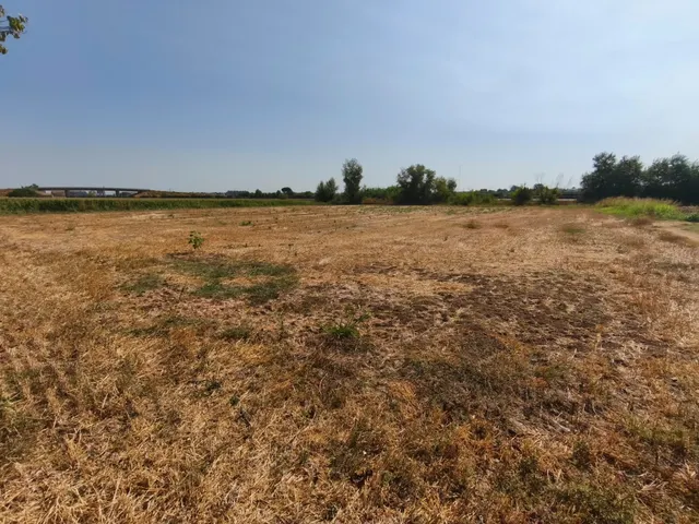 Fincas rústicas en Lleida – venta conjunta — 6