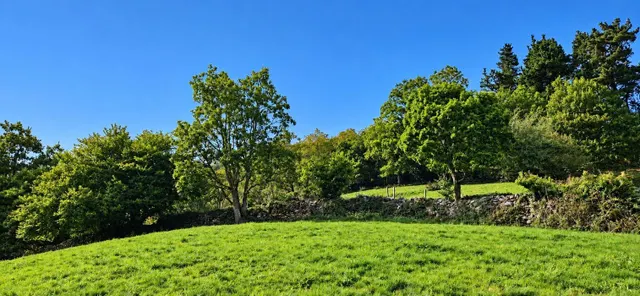 Exclusiva finca rústica de 3.899 m2 con proyecto de vivienda y autorización favorable de la crotu en sel de la carrera .- — 9