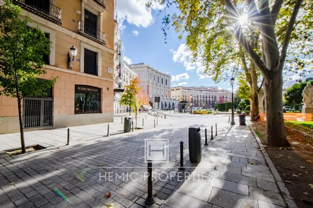 Vivir la Ópera de Madrid